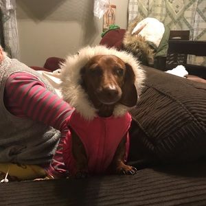 Meet your Posher, Eddy